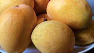 Goan Mangoes
