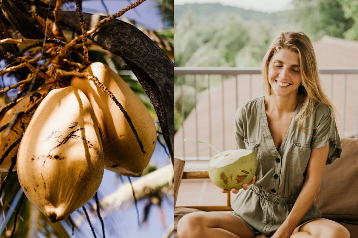 Benefits of Drinking gTender Coconut
