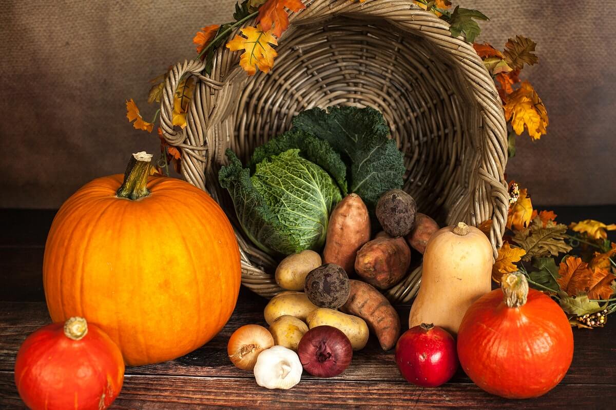 Organic Food