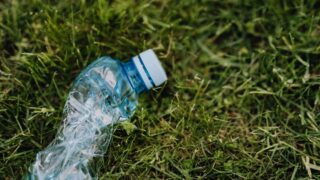 single-use plastics
