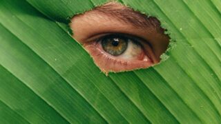 Eye Health