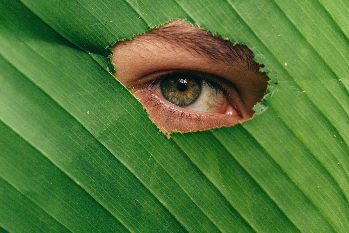 Eye Health