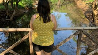Shangrila Jungle Resort