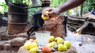 Goan Cashew Feni