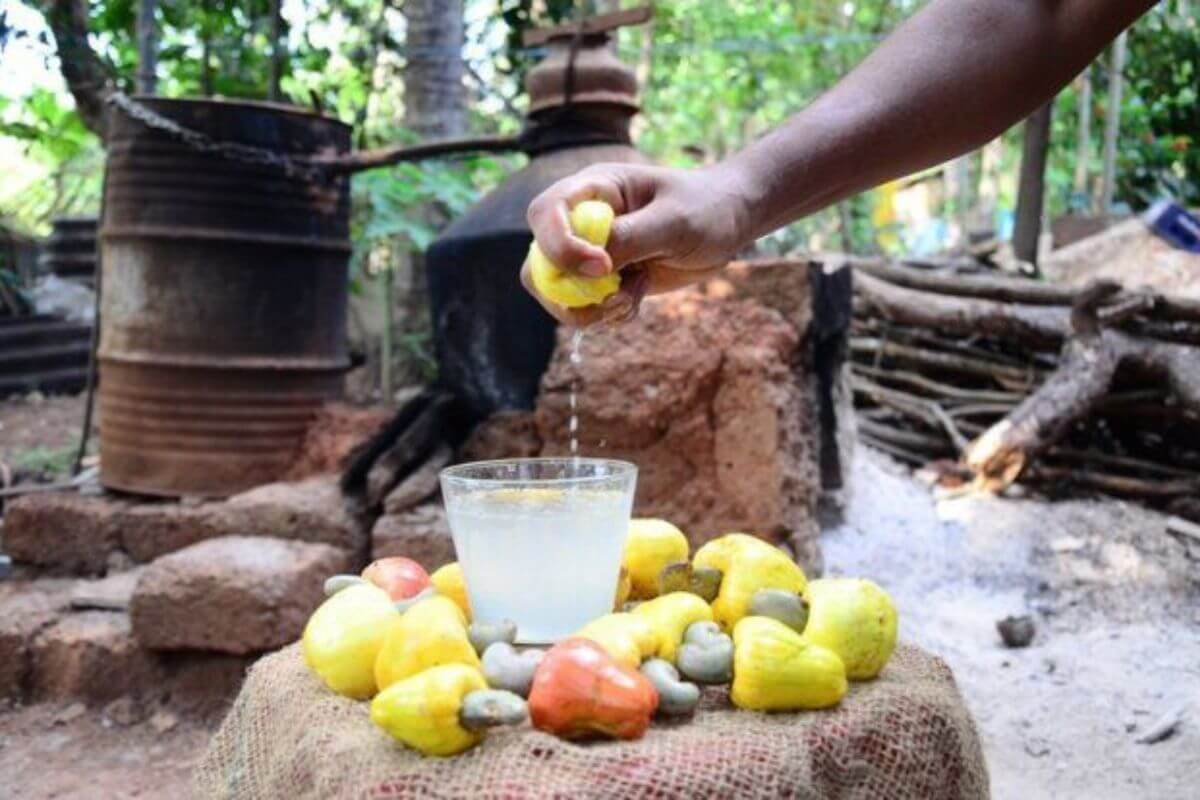 Goan Cashew Feni