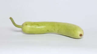 Bottle Gourd