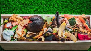 Fighting Food Waste: Simple Steps for Big Change