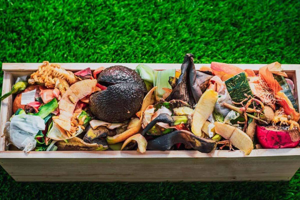 Fighting Food Waste: Simple Steps for Big Change