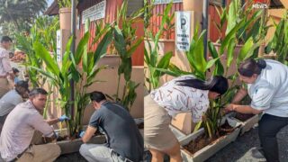 Marriott India Plants 100,000 Trees